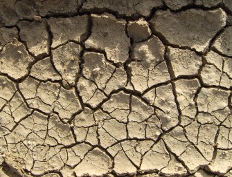 Sobrecoste en el campo por la sequía