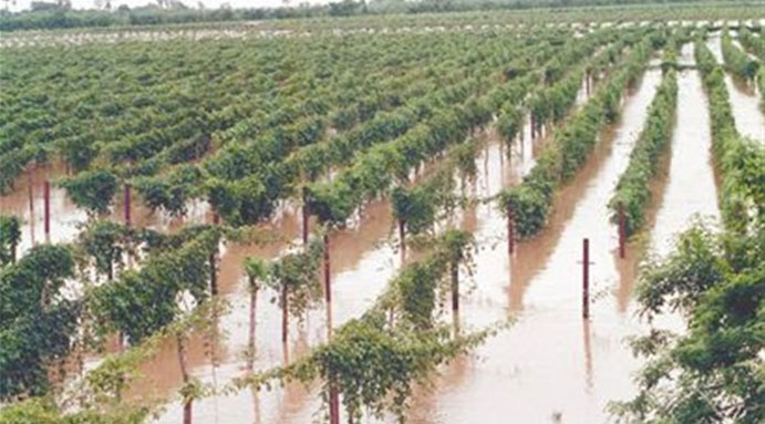 Daños por inundación