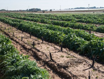 La agricultura y el regadío, servicios esenciales en la crisis del COVID-19