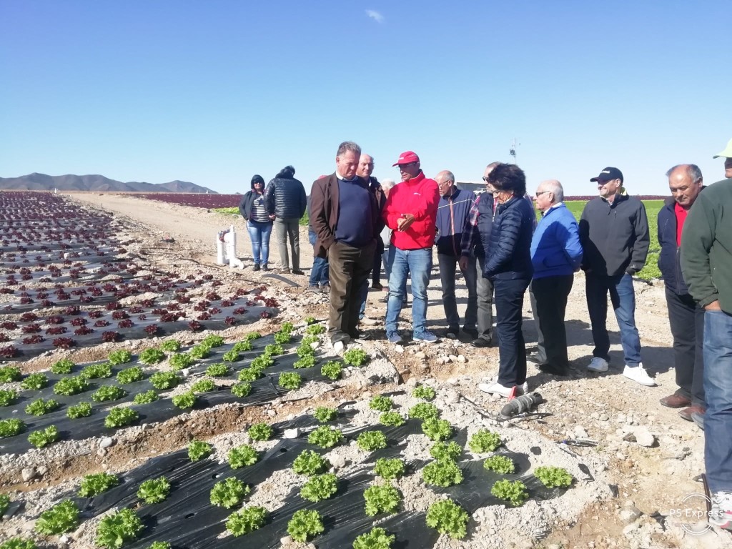 Visita técnica