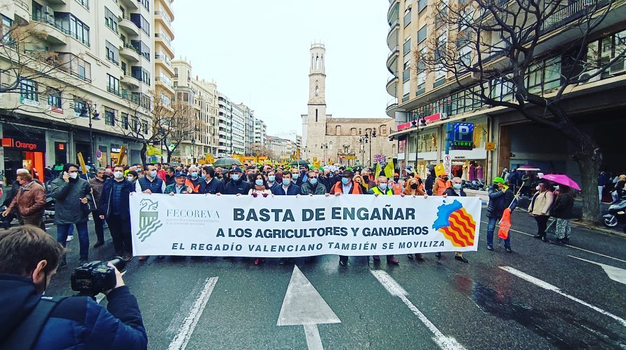 MANIFESTACIÓN DEL 25 DE FEBRERO EN VALENCIA