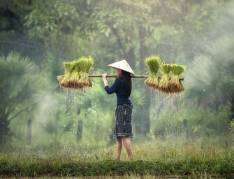 DÍA INTERNACIONAL DE LA MUJER RURAL