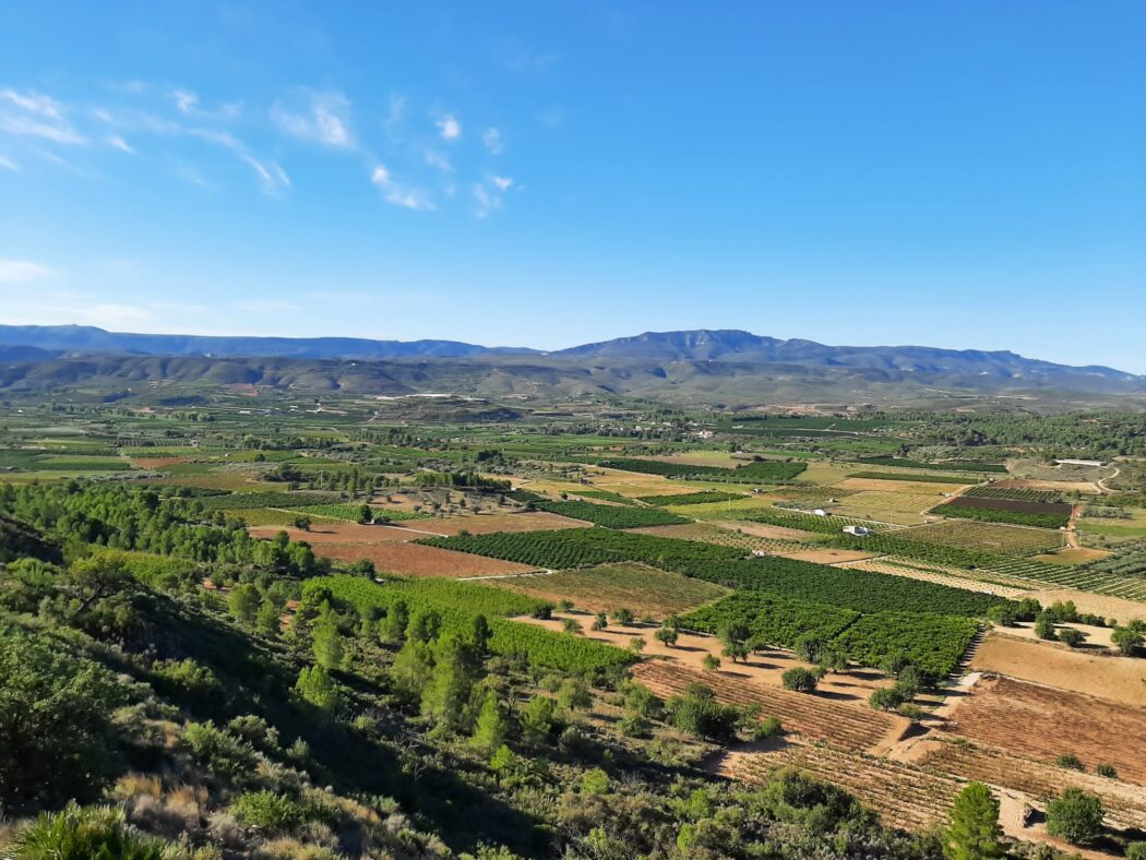 WhatsApp Image 2023-09-23 at 18.00.12