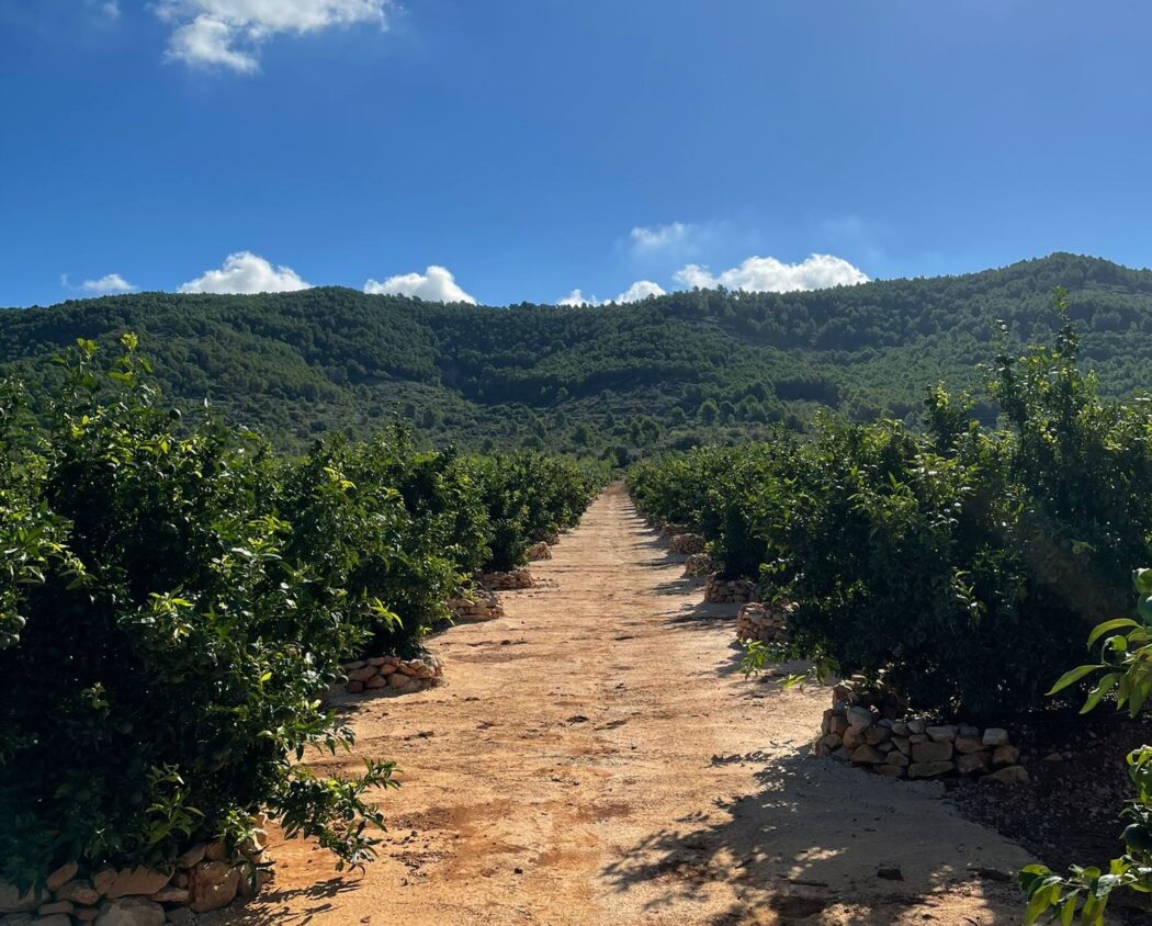 WhatsApp Image 2023-10-13 at 10.43.31 (1)