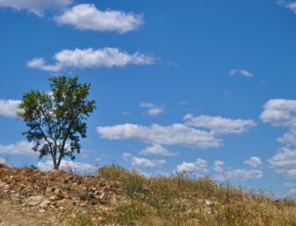 LAS PREVISIONES METEOROLÓGICAS EN LA GESTIÓN DE COMUNIDADES DE REGANTES