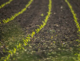 GESTIÓN DE LOS NUTRIENTES DE LA TIERRA Y EL AGUA PARA EL REGADÍO