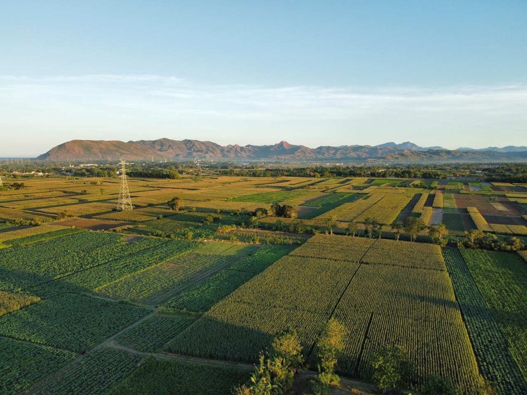 fields-7881915_1280_11zon