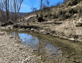 PROMOCIÓN DE LA CONSERVACIÓN Y GESTIÓN DE LOS ECOSISTEMAS FLUVIALES