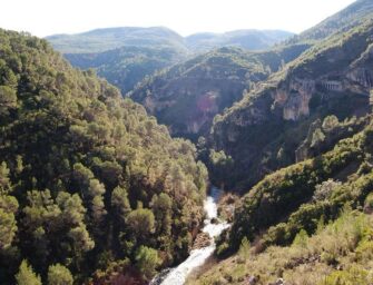 MEDIO AMBIENTE PROHÍBE EL USO DEL FUEGO EN TERRENOS FORESTALES EN SEMANA SANTA Y PASCUA