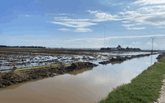 RECUERDO, RECUPERACIÓN Y PREVENCIÓN TRAS LA DANA