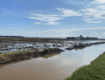 RECUERDO, RECUPERACIÓN Y PREVENCIÓN TRAS LA DANA