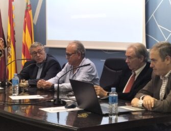 ALTERNATIVAS PARA DISMINUIR LAS AVENIDAS EN LA VEGA BAJA