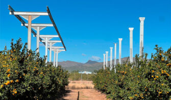LLÍRIA ACOGE LA PRIMERA PLANTA AGRIVOLTAICA EN CÍTRICOS