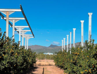 LLÍRIA ACOGE LA PRIMERA PLANTA AGRIVOLTAICA EN CÍTRICOS