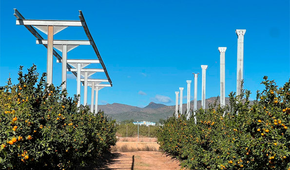 LLÍRIA ACOGE LA PRIMERA PLANTA AGRIVOLTAICA EN CÍTRICOS