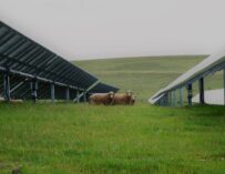 2ª CONVOCATORIA PROYECTOS INNOVADORES RENOVABLES Y ALMACENAMIENTO