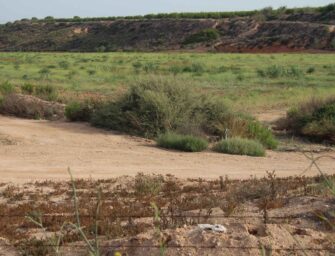 LA CORRECCIÓN HIDROLÓGICA ES CLAVE EN LA PROTECCIÓN DEL REGADÍO
