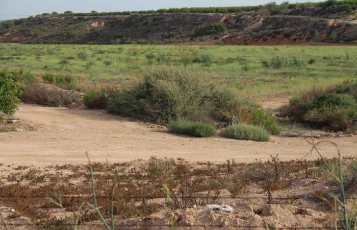 LA CORRECCIÓN HIDROLÓGICA ES CLAVE EN LA PROTECCIÓN DEL REGADÍO