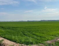 EL REGADÍO ES EL GRAN ALIADO DEL MEDIO AMBIENTE