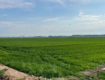 EL REGADÍO ES EL GRAN ALIADO DEL MEDIO AMBIENTE