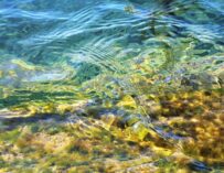 ANÁLISIS DE AGUA MÁS EFICIENTE Y ECONÓMICO CON AGQ LABS