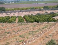 LOS REGANTES APUESTAN POR LA DIGITALIZACIÓN