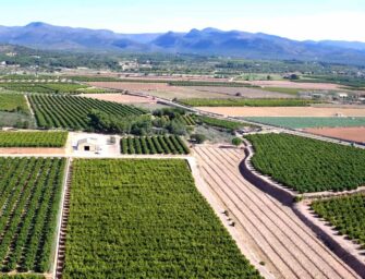 REGAR EL FUTURO ES TAREA DE TODOS