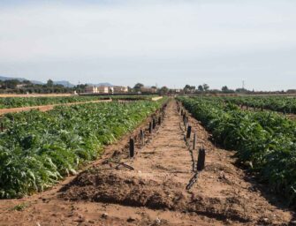 EL REGADÍO ES UNA FUENTE DE VIDA Y SALUD