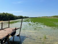 JORNADA SOBRE REGADÍO TRADICIONAL VALENCIANO