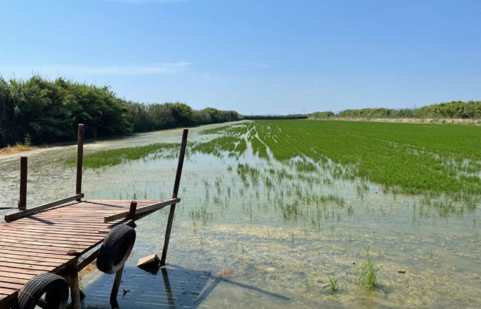 JORNADA SOBRE REGADÍO TRADICIONAL VALENCIANO