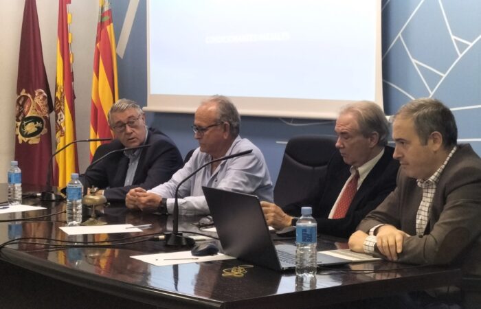 ALTERNATIVAS PARA DISMINUIR LAS AVENIDAS EN LA VEGA BAJA