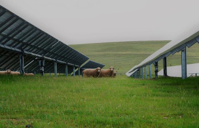 2ª CONVOCATORIA PROYECTOS INNOVADORES RENOVABLES Y ALMACENAMIENTO