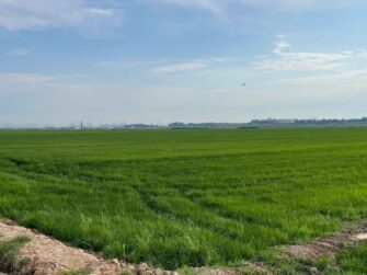 EL REGADÍO ES EL GRAN ALIADO DEL MEDIO AMBIENTE