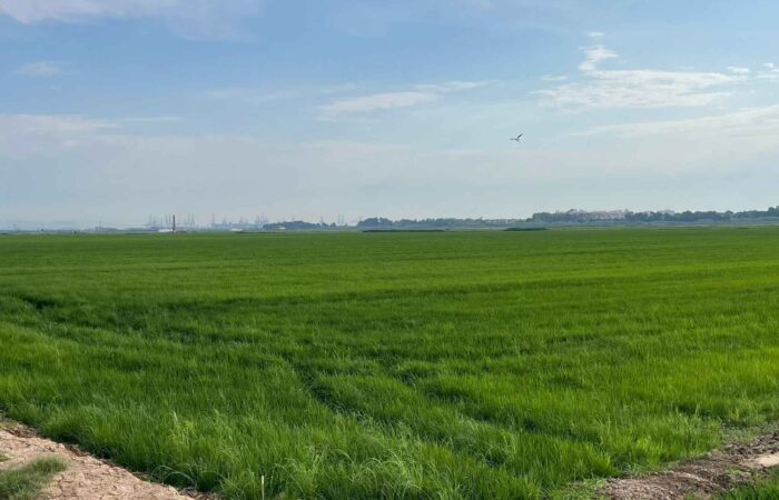 EL REGADÍO ES EL GRAN ALIADO DEL MEDIO AMBIENTE