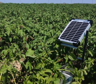 PROYECTO DE DIGITALIZACIÓN DE LA CR SANTO DOMINGO