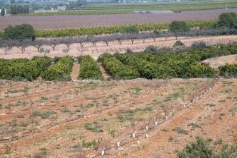 LOS REGANTES APUESTAN POR LA DIGITALIZACIÓN