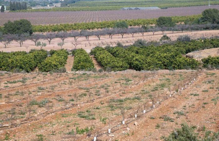 LOS REGANTES APUESTAN POR LA DIGITALIZACIÓN