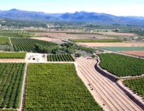 REGAR EL FUTURO ES TAREA DE TODOS