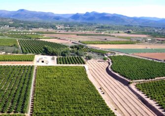 REGAR EL FUTURO ES TAREA DE TODOS