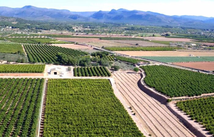 REGAR EL FUTURO ES TAREA DE TODOS