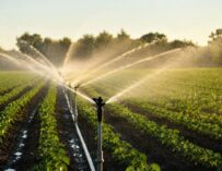 CURSO ONLINE CALIDAD AGUA DE RIEGO AGQ