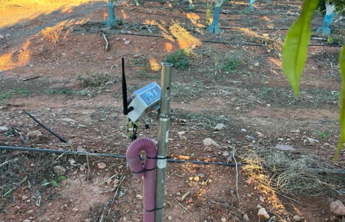 4PIOT SE CONSOLIDA COMO REFERENTE EN LA DIGITALIZACIÓN AGRARIA