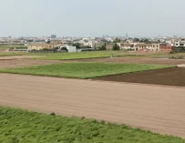 FELIZ DÍA DE LA AGRICULTURA