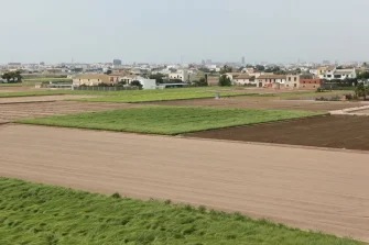 FELIZ DÍA DE LA AGRICULTURA