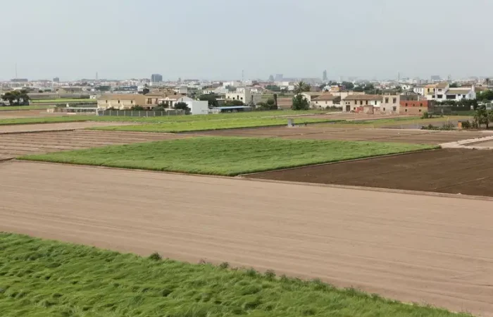 FELIZ DÍA DE LA AGRICULTURA