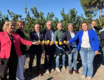 PRIMERA EDICIÓN DEL CORTE DEL LIMÓN EN ORIHUELA