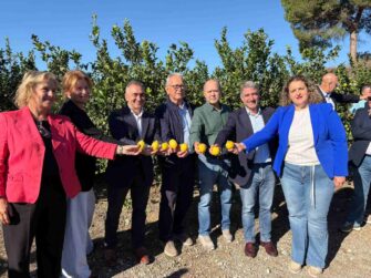 PRIMERA EDICIÓN DEL CORTE DEL LIMÓN EN ORIHUELA