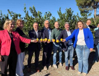 PRIMERA EDICIÓN DEL CORTE DEL LIMÓN EN ORIHUELA
